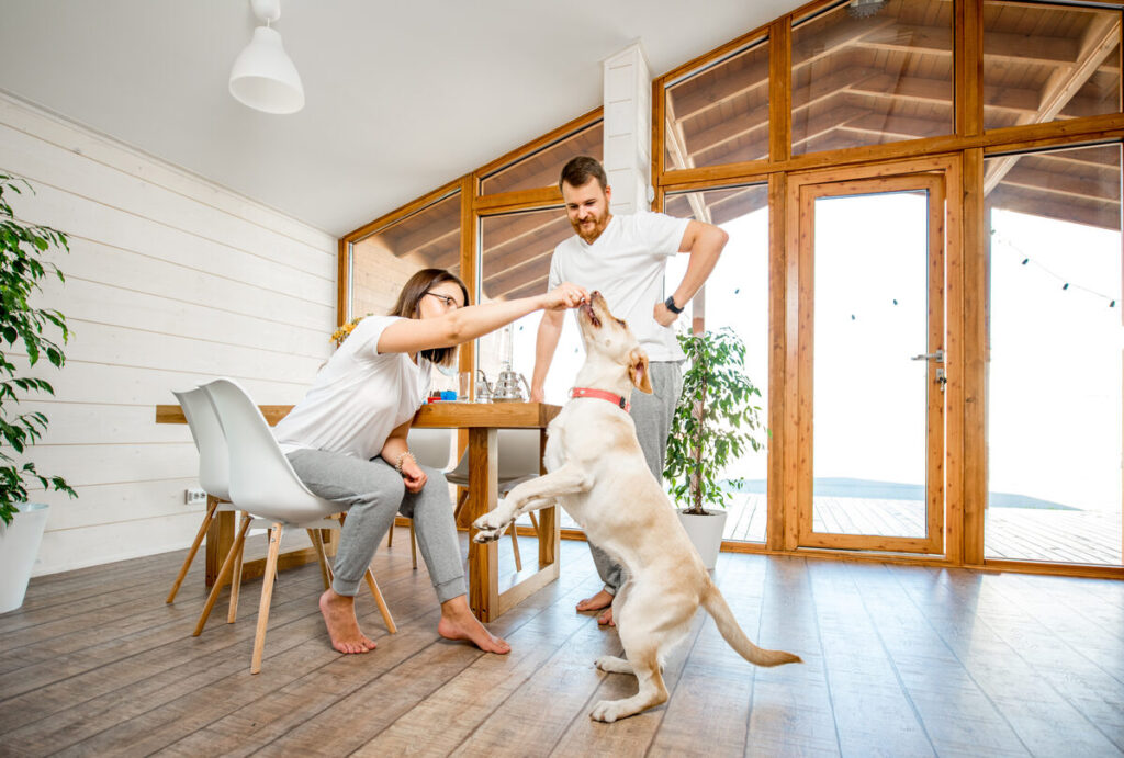 Living in Lincoln: Discover the Heart of Community Life in Lancaster, CA